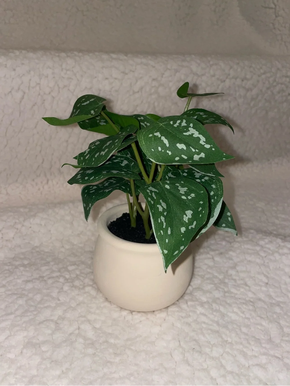 Target Faux Green Polka-Dot Potted Plant